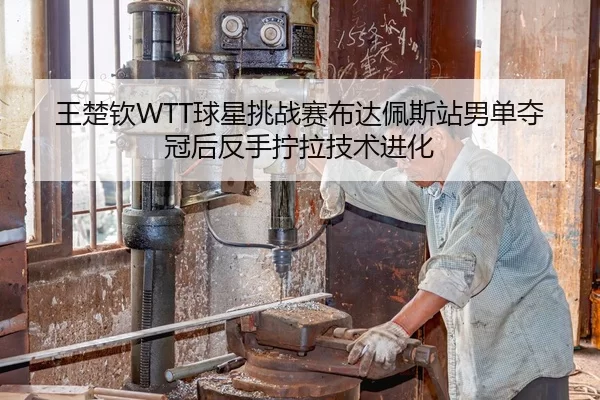 王楚钦WTT球星挑战赛布达佩斯站男单夺冠后反手拧拉技术进化